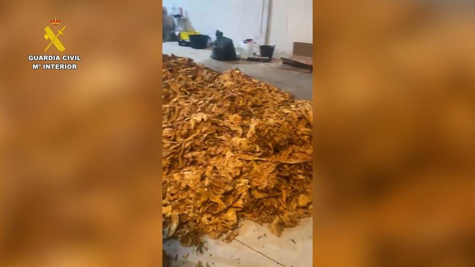Parte de los 800 kilos de hoja y picadura de tabaco intervenidos en una fábrica ilegal en La Palma del Condado (Huelva).