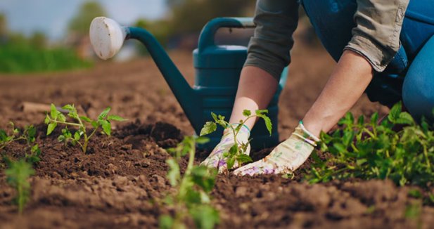 EpAgro - Agricultura
