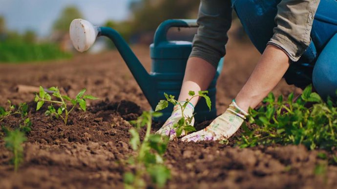 Equilibrar rentabilidad y protección del entorno, reto clave para lograr sistemas productivos circulares