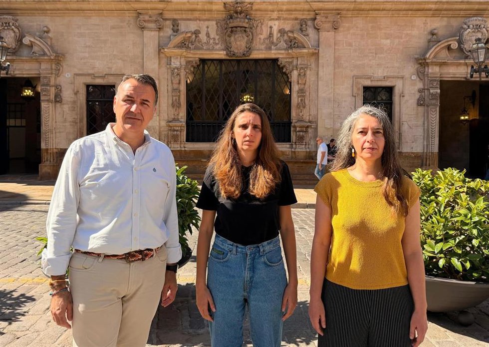 Archivo - Regidores de POSE Palma, Unidas Podemos y MÉS per Palma