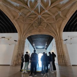 El alumnado de segundo de ESO del IES Cartuja de Granada ha presentado el proyecto 'Territorio Animado', que combina arte, tecnología y educación patrimonial desarrollado a lo largo del curso escolar y que finalizó con una videoinstalación multipantalla.