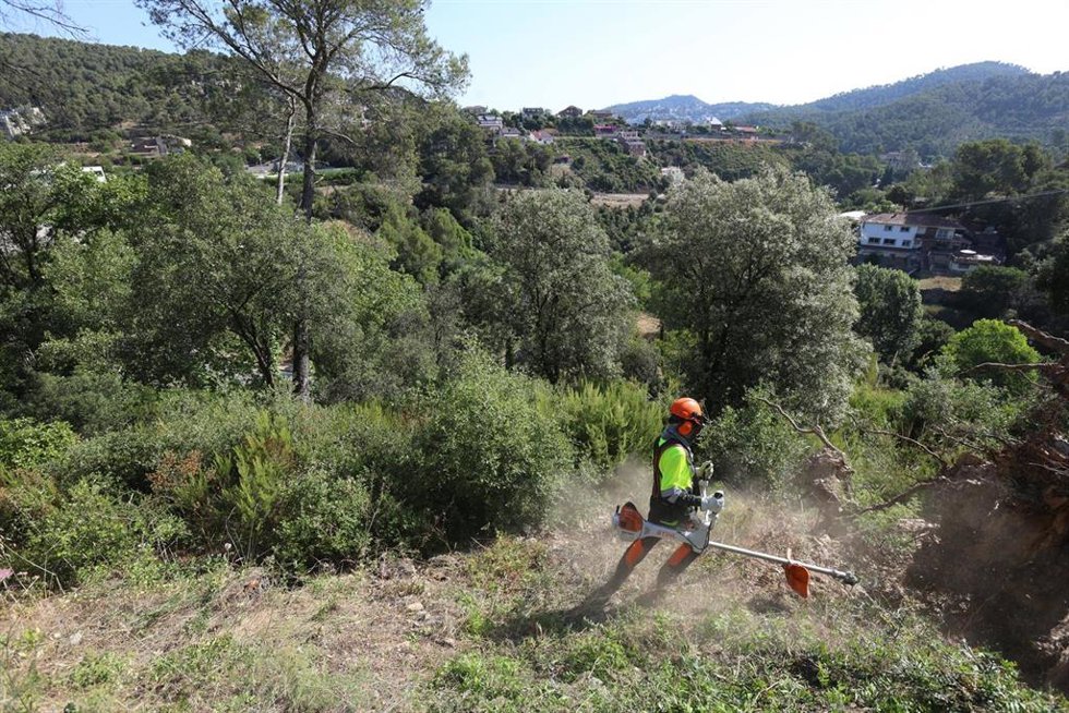 Trabajos para prevenir incendios del AMB
