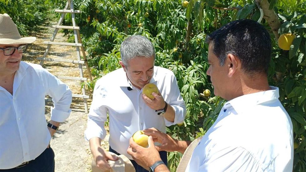 El consejero de Agua, Agricultura, Ganadería y Pesca, Joaquín Buendía, durante la presentación de la campaña 2026 de la IGP Melocotón de Cieza