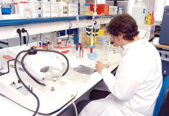 Archivo - médico trabajando laboratorio