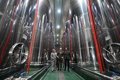 Las pymes granadinas ya pueden solicitar las ayudas de la Junta a proyectos de prevención de riesgos laborales