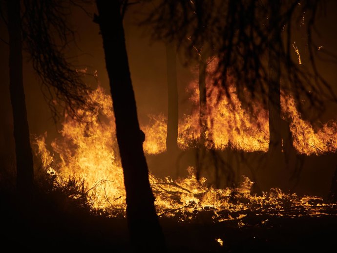 Archivo - Imagen de archivo de un incendio forestal en Carcastillo