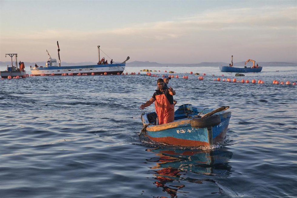 Archivo - Pesca acuerda la distribución de 5,6 millones de presupuestos para las paradas temporales del Mediterráneo.