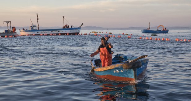 EpAgro - Pesca