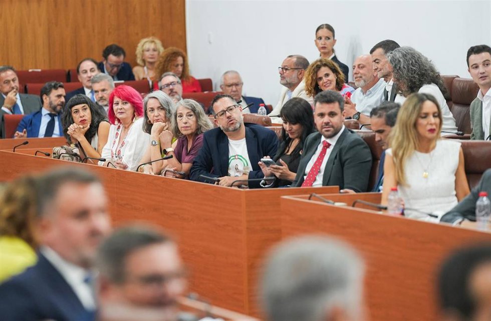 Los grupos Adelante Andalucía y Por Andalucía en la sesión constitutiva de la XIII Legislatura del Parlamento andaluz.