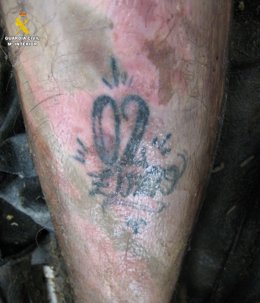 Tatuagens da pessoa encontrada