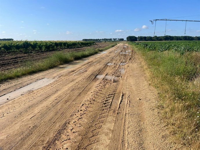 Camino rural.