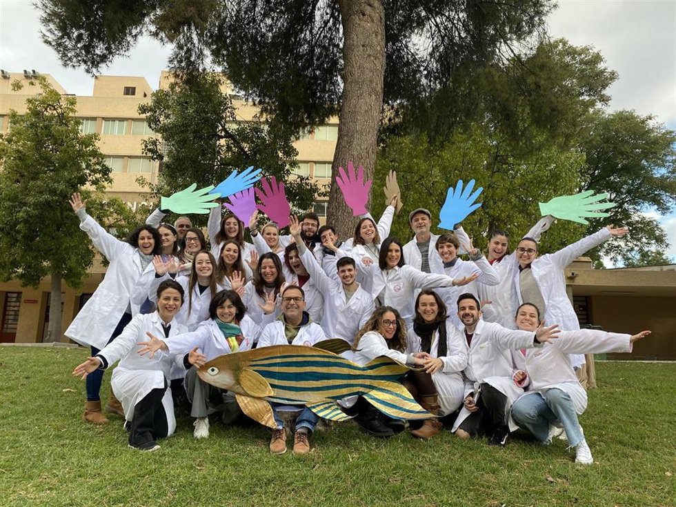 Grupo Inmunidad, Inflamación y Cáncer de la UMU