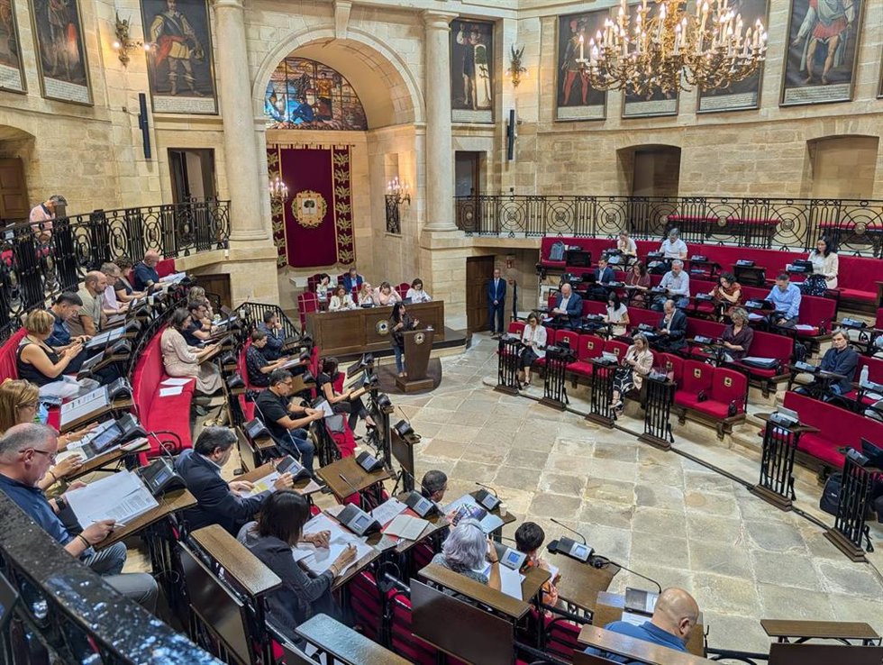 Pleno de las Juntas Generales de Bizkaia