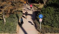 Catalá anuncia la iluminación de los pasos inferiores de los puentes del Jardín del Túria para dar seguridad