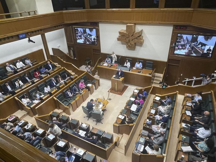 Pleno monográfico sobre las políticas dirigidas a garantizar la seguridad vital