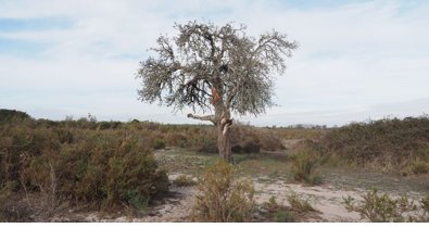 Huelva