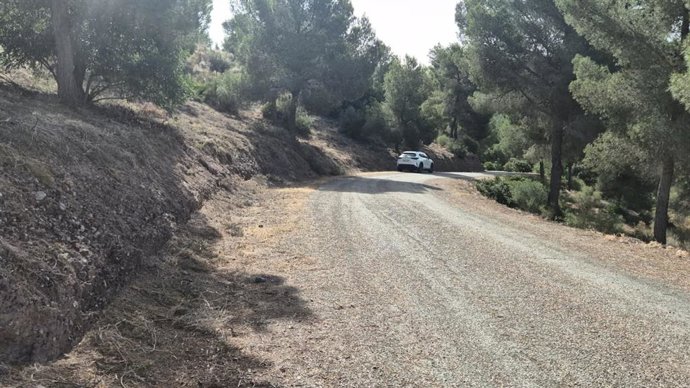Camino forestal de Murcia