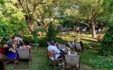 Foto: Cervezas Alhambra vuelve al festival Noches del Botánico de Madrid en la Zona Momentos Alhambra con conciertos y DJs