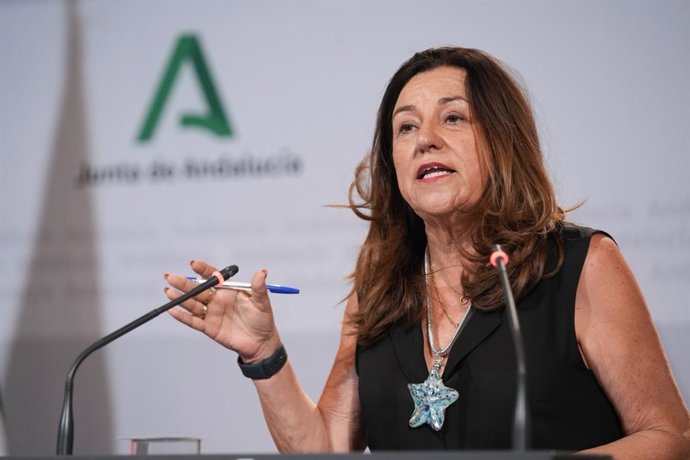 La consejera de Desarrollo Educativo y Formación Profesional, María del Carmen Castillo, en la rueda de prensa posterior al Consejo de Gobierno del 17 de junio de 2026.