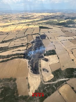 Imatge de l'incendi a Torrefeta i Florejacs (Lleida)