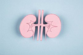 Foto: PEPIFOTO/ ISTOCK - Archivo