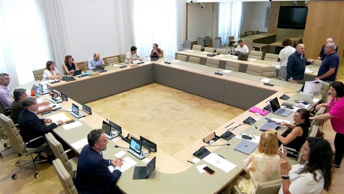 El conseller de Vivienda, Territorio y Movilidad, José Luis Mateo, durante su comparecencia en el Parlament.