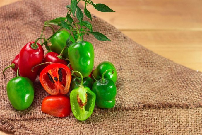 Perú.- Cadena de capsicum activa medidas preventivas ante posible Fenómeno El Niño