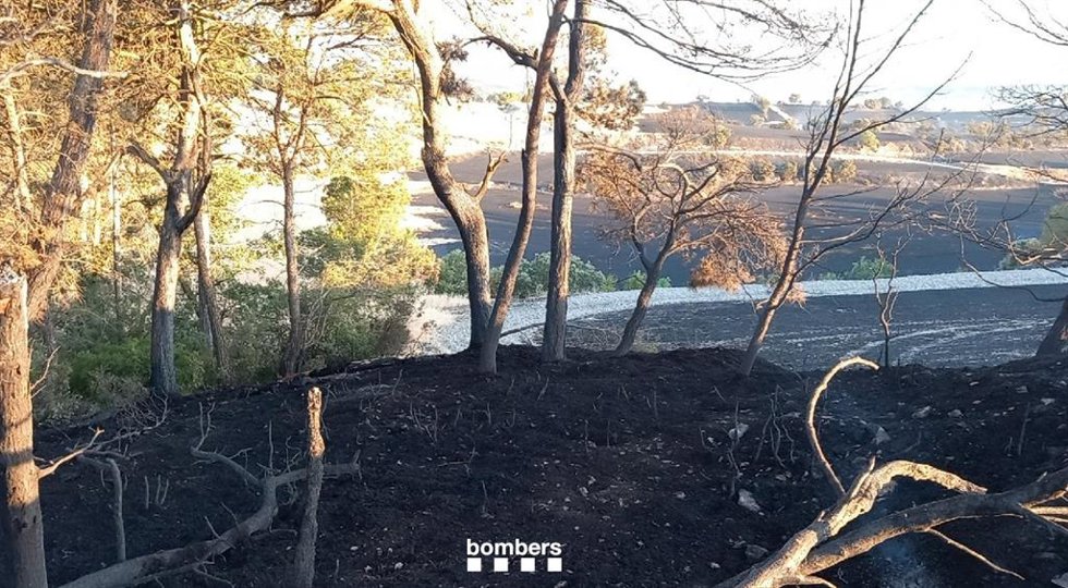 Imagen de un bosque este jueves tras el fuego en Talavera (Lleida)