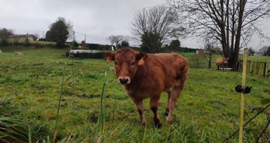 Asturias Rural