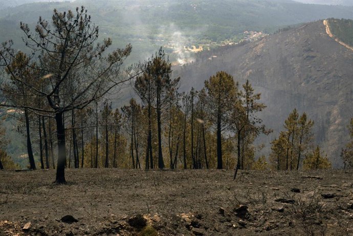 Zona quemada durante el incendio, a 15 de junio de 2026, en Boborás, Ourense
