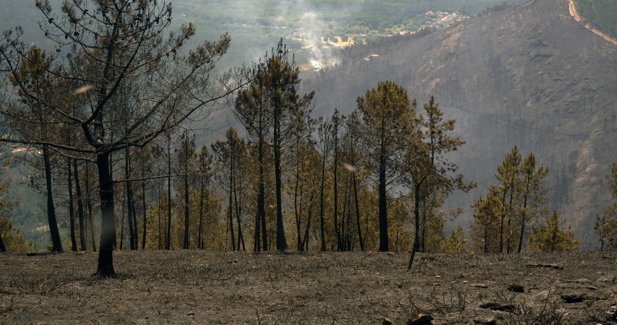 Galicia Rural
