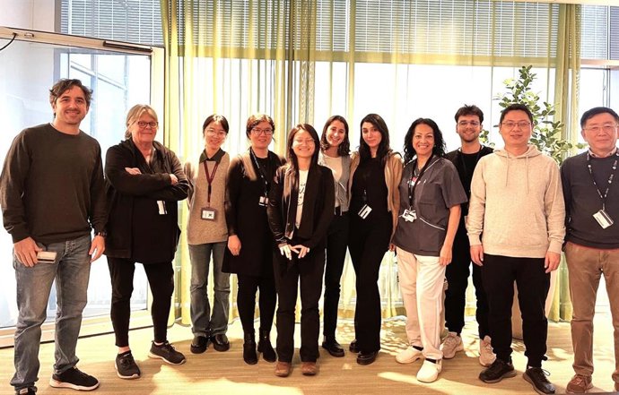 Los embriones congelados presentan un mayor crecimiento durante el primer trimestre de embarazo