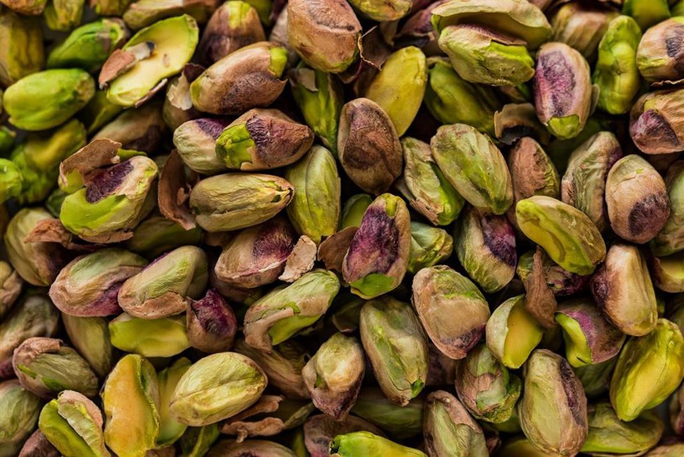 Archivo - El cultivo de pistacho como uno de los proyectos agrículas más rentables