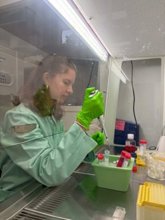 Foto: Científicos descubren que un compuesto producido por la microbiota fortalece la barrera intestinal