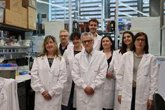 Foto: Identifican una nueva estrategia contra el cáncer de páncreas que ataca las células tumorales