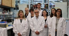 Investigación