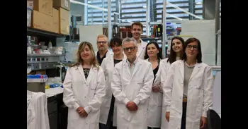 Identifican una nueva estrategia contra el cáncer de páncreas que ataca las células tumorales