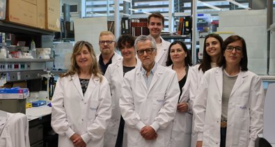 Investigación