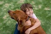 Foto: Pediatras proponen el verano como una oportunidad para fomentar la autonomía en los menores