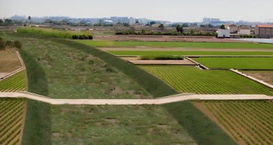 C. Valenciana