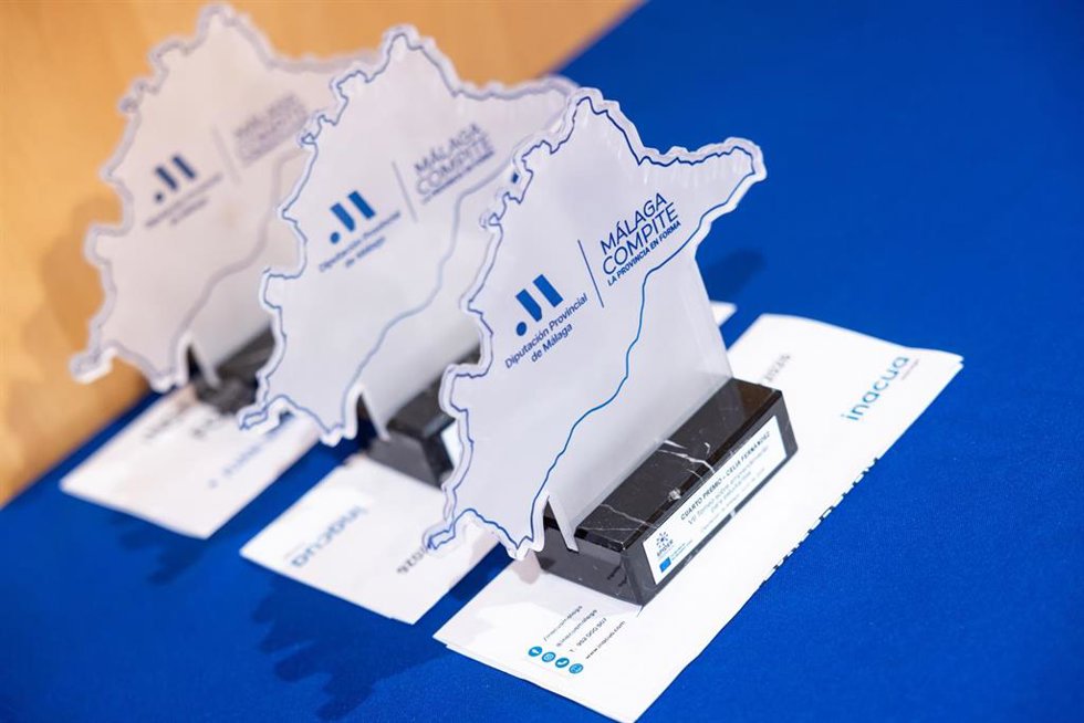 La Diputación de Málaga y la UMA premian los proyectos innovadores de estudiantes de Educación Física de la provincia