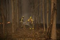 Protección Civil alerta por calor desde el domingo en Península y Baleares y pide precaución por el peligro de incendios