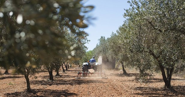 EpAgro - Agricultura