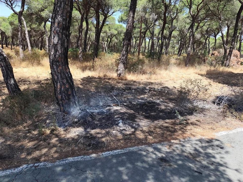 Zona calcinada en el pinar de La Sorda de Aljaraque provocada presuntamente por el detenido.
