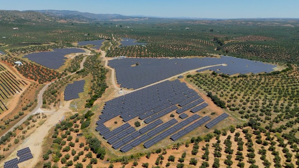 Planta solar de Naturgy