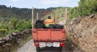 La Rioja