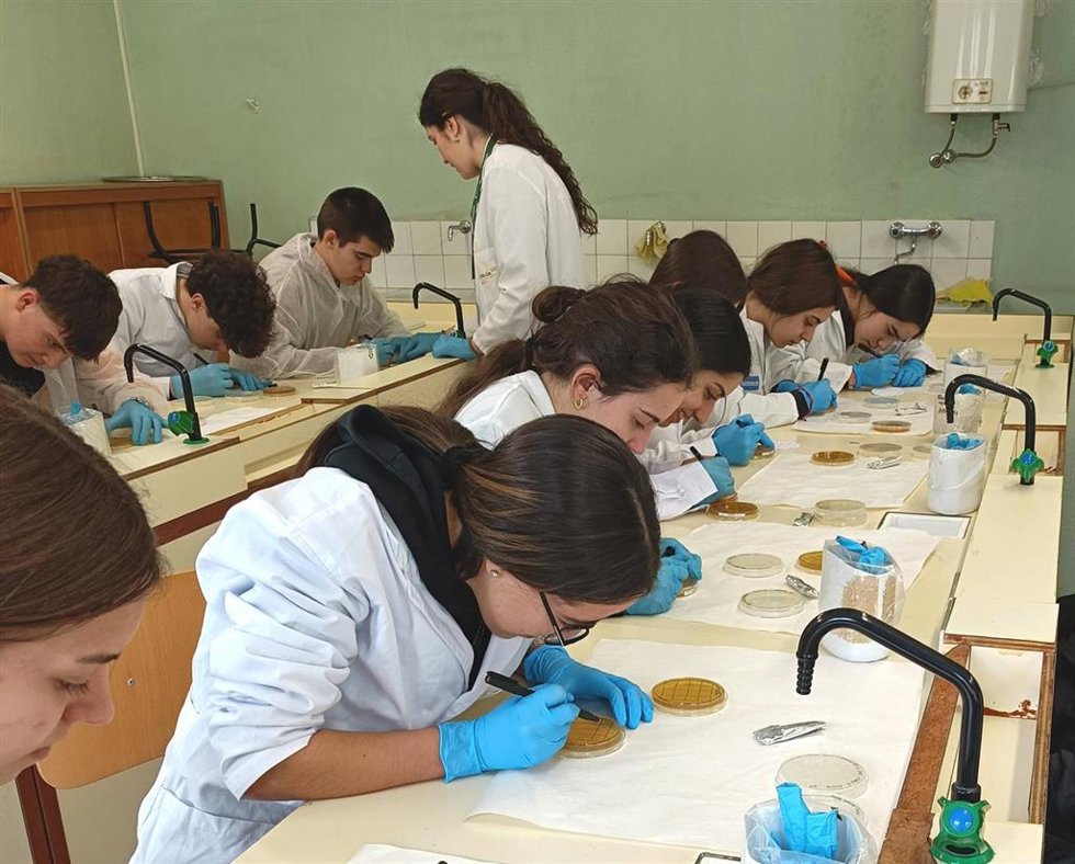 Talleres prácticos realizados en centros de Ediucación Secundaria de la ciudad de León bajo la instrucción de estudiantes de la Universidad de León en el marco de 'Proyect Micromundo'.