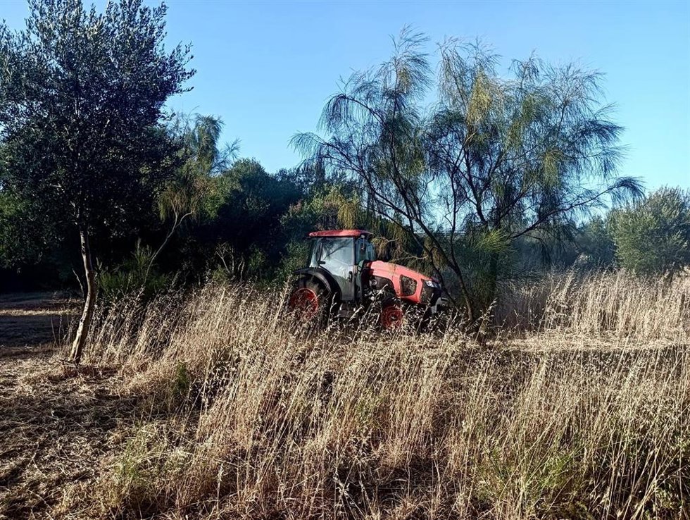 Trabajos de prenvención contra incendios forestales en la barriada del Río San Pedro en Puerto Real.