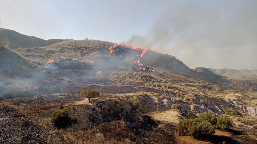 Estado inicial del incendio forestal declarado en el paraje El Saltador, en Carboneras (Almería).