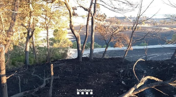 Imagem de uma floresta nesta quinta-feira, após o incêndio em Talavera (Lleida)